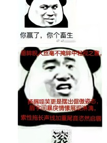 道劫纪