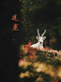 迷鹿.