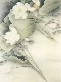 他真的很迷人