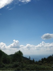 成長(zhǎng)的愛情