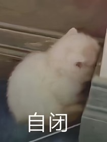 今夜不讓你入睡_