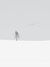 Arbitraryblank