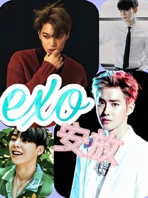 EXO:安放
