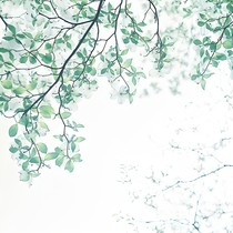 情深且不負