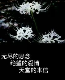 悲伤的错