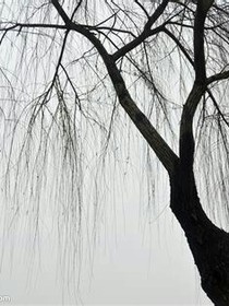 我的學(xué)習(xí)我的班