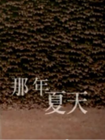 那年夏天很悲傷復(fù)仇記