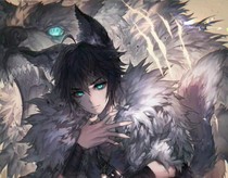 神奇宝贝之重生狼王