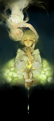 无夏不霜