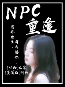 NPC：重逢