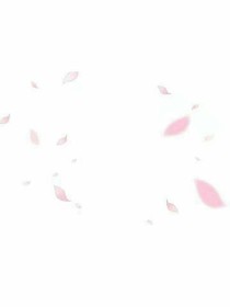 梦的N次方