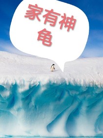 家有神龟