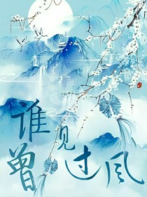 誰曾見過風