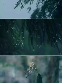 星辰三千，等风也等你