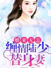 缠情陆少替身妻_d413