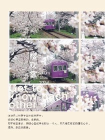 樱吹雪