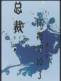 总裁，你拖把掉了