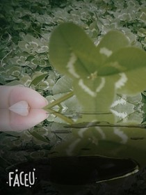 鱼那么相信水，水却煮了鱼！算了