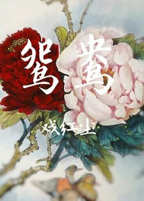 鴛鴦戲紅塵