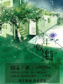 锦年似海