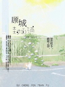顾城封面铺（杂货铺）-d741