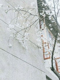 若以相思安未來