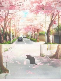 許卿安時