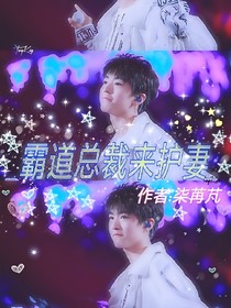 霸道总裁来护妻