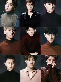 exo的明星媳妇儿