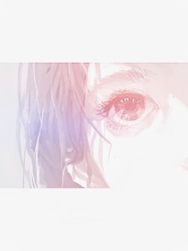 以賢的定制文