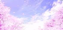 苏文忆_d062_d601_d288