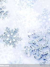 竹已.徒弟：奈顏瀟月練