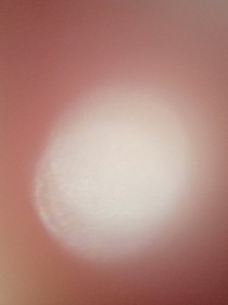 鬼语话