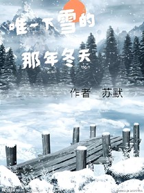 唯一下雪的那年冬天