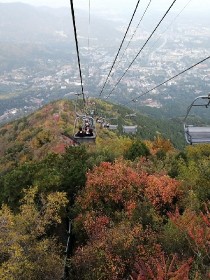 横坡啊噗俊清