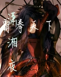 霸拳天下