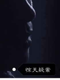 惊天疑案