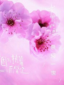 岁月如歌，奈何一世