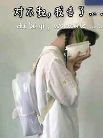 对不起，我走了……
