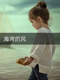 海湾的风