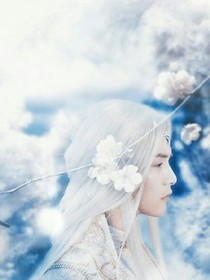 幻城之幻雪