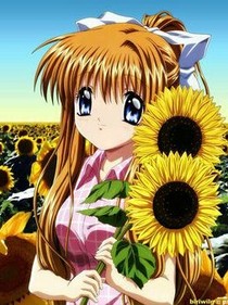 花世界