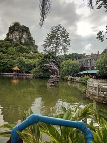 神奇医术