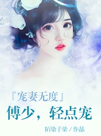 宠妻无度：傅少，轻点宠