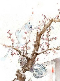 皇妃一笑天上一星