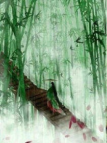 时光说:玲珑记