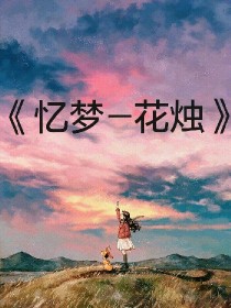 忆梦—花烛