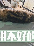新建作品，愛你_d749_d992_d405