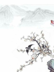 明珠若有泪