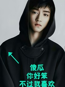 傻瓜，你好笨，不过我喜欢